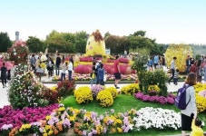 고양가을꽃축제,  “호수공원 꽃전시관서” 열려