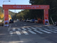 광주시, 제25회 광주세계김치축제 25～28일 광주김치타운 개막