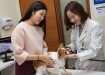 건국대, 학교 인근 능동로 일대 KU반려동물 문화의 거리 조성