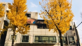 종로구 고시원 화재 참사, 막을 기회 없었나?