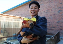 [포토뉴스] “웃는 돼지 보고 새해에도 웃으면 돼지~”