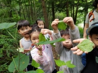 전북 산림환경연구소,대아수목원 유아숲체험원 개장