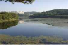 진주시·한국농어촌공사 금호지 마름제거 앞장서