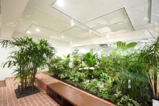 서울시, 청소년 디지털 과의존 문제 교실 정원으로 해결