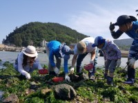 ‘전남에서 먼저 살아보기’ 농촌형 프로그램 인기