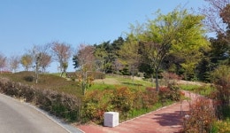 사천시립도서관 건립 추진에 박차