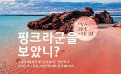 [메트로 트래블] 참좋은여행사, 핑크라군로맨틱 칸쿤 허니문 팩 전격 출시