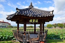 정읍 호남제일정(湖南第一亭) 피향정 연꽃 만발