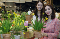 코로나19로 위축된 심리 플랜테리어 로 힐링