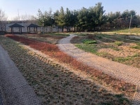 김포시, 봄 맞이 걸포중앙공원 초화원 조성