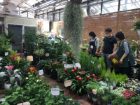 [되살아난 서울] (68) 국내 최대 화훼 도매시장 서초구 양재꽃시장