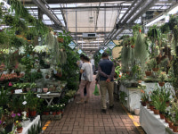 [되살아난 서울] (68) 국내 최대 화훼 도매시장 서초구 양재꽃시장