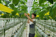 예천군 농업기술센터 박정호 농촌지도사, 경북 최연소 시설원예기술사 취득!
