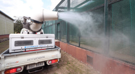 AI 방역 어긴 가금 농가에 6개월 사육제한