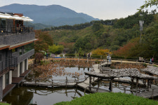 [메트로 트래블] 산청, 면역력증가 여행과 한방항노화 힐링관광 중심지로 우뚝서다