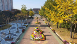 무안읍 불무공원 국화꽃 보러오세요