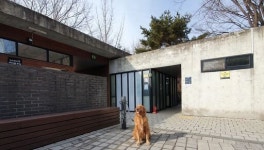 서울시, 남산·용산가족공원 화장실 앞에 반려동물 목줄 거치대 설치