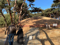 [되살아난 서울] (83) 강남구 역사 문화 명소 서울 선릉과 정릉