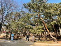 [되살아난 서울] (83) 강남구 역사 문화 명소 서울 선릉과 정릉