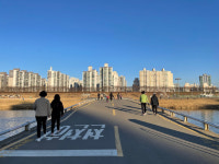 [되살아난 서울] (84) 서울·경기 14개 지방자치단체를 물줄기로 잇는 안양천