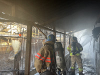 담양소방서, 축산농가 종합 예방대책 마련