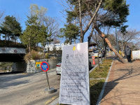 [되살아난 서울] (86) 꽃피는 춘삼월 봄맞이 한창인 종로구 와룡공원