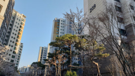 [아파트의 미학(美學)] <5>경희궁 자이,왕의 길과 물의 향연