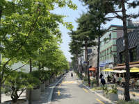 만리재로~서울로7017 잇는 서울로사잇길 생겼다
