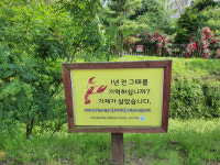 인천 중구 영종국제도시  생태하천 복원