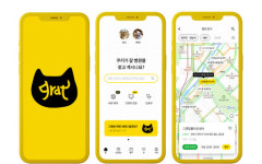 24시간 동물병원 예약서비스 앱 그랫, 4일 정식 론칭