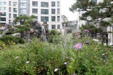 [아파트의미학(美學)] <30>대치르엘…양재천 여울을 담다