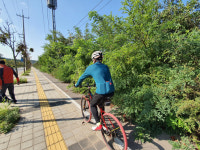 영종국제도시 자연대로 자전거도로 정비 시급