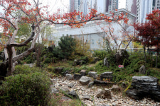 [아파트의 미학(美學)] <35>서울숲 더샵 최고의 한강 조망