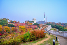 [메트로 트래블] 서울관광재단, 오색 단풍과 함께 서울의 풍경 느껴 봐