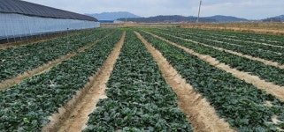 신안군, 농업기술보급혁신 경진대회 전국 대상 수상