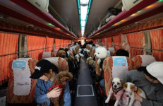 [새벽을 여는 사람들] 펫츠고트래블 이태규 대표