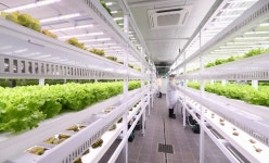 [인터뷰] 옥종욱 이케아 광명점 푸드 매니저 도심형 농장 파르마레로 지속가능성 보여드릴게요