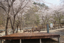 양산시시설관리공단, 대운산휴양림 야영장 개장