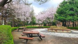 봄 나들이하러 고양시로 오시고양~