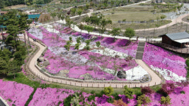 함양 지리산생태체험단지, ‘봄꽃축제 기간 지정