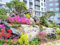 [아파트의 미학(美學)] 대구 힐스테이트 황금엘포레, “제주를 옮기다”