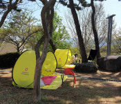 장성군립도서관, 색다른 ‘북 캠핑’ 운영