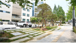 부산 연제구, 걷고싶은 행정타운로 조성