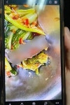 개구리 사체 급식 납품 업체 2곳...안전기준 부적합 판정