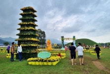 경주시, 경주 황금정원 나들이 축제 개최