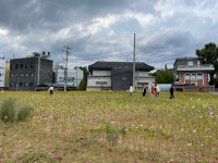 [되살아난 서울] (122) 한 세기 넘게 금단의 땅이었던 송현동 부지 열린송현녹지광장으로 활짝