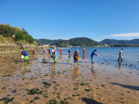 경남수산자원연구소, 어린 바지락 850만 마리 분양