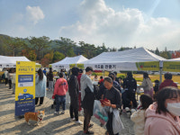 안성시, 반려동물 문화행사 성료