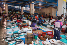 경상북도, 포항죽도시장에서  전통시장 온누리상품권 환급행사 진행