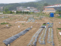 거제시, 2023년 도시민 주말농장 참여자 선착순 모집